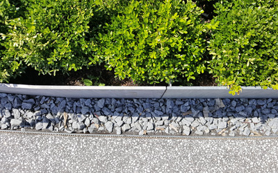 Border between walkway and vegetation